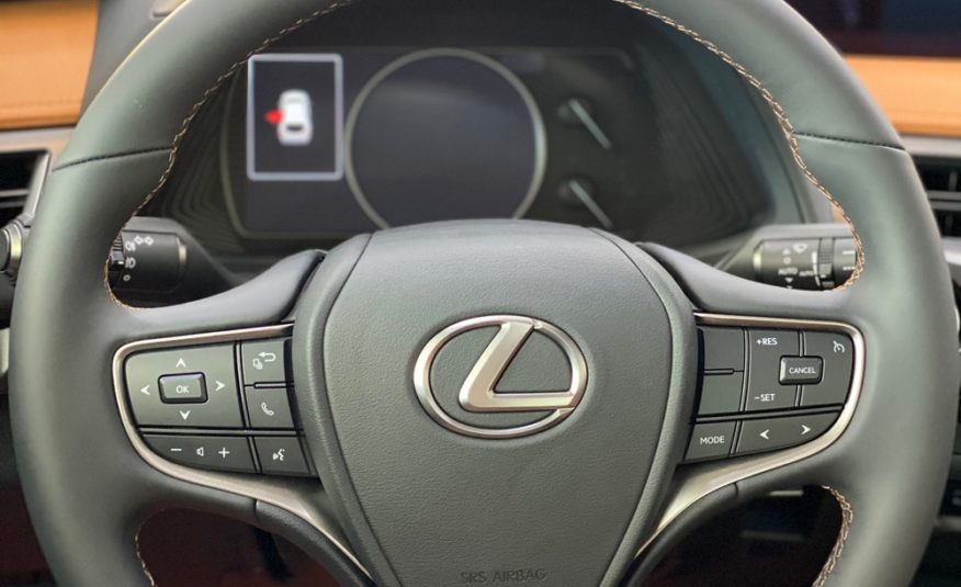 Lexus UX 200